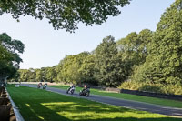 brands-hatch-photographs;brands-no-limits-trackday;cadwell-trackday-photographs;enduro-digital-images;event-digital-images;eventdigitalimages;no-limits-trackdays;peter-wileman-photography;racing-digital-images;trackday-digital-images;trackday-photos